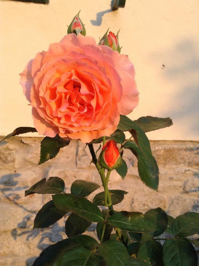 Fiesole In Giardino B&B Exterior photo